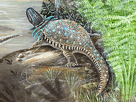 Propanoplosaurus / © Smithsonian Institute (mnh.si.edu)