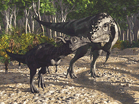 Pachycephalosaurus / © James Kuether. Verwendet mit freundlicher Genehmigung des Autors