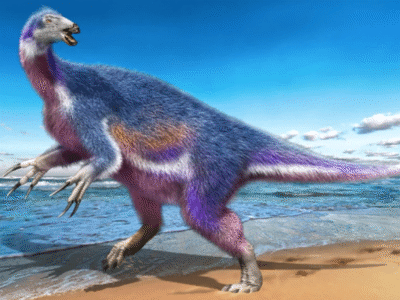 Paralitherizinosaurus // Masato Hattori. Creative Commons 4.0 International (CC BY 4.0)