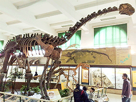 Patagosaurus / Luciana Monte. Creative Commons NonCommercial-ShareAlike 2.0 Generic (CC BY-NC-SA 2.0)