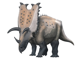 Pentaceratops / © Scott Hartman. Verwendet mit freundlicher Genehmigung des Autors