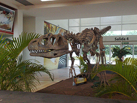Skelett des Piatnitzkysaurus / Jesus Blanco. Creative Commons NonCommercial-NoDerivs 2.0 Generic (CC BY-NC-ND 2.0)