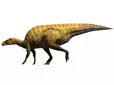 Portellsaurus © Santos-Cubedo et al., 2021, PLOS ONE. Creative Commons 4.0 International (CC BY 4.0)
