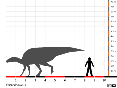 Größenvergleich / Dinodata.de. Creative Commons 4.0 International (CC BY 4.0)