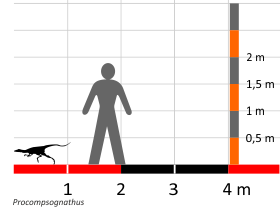 Größenvergleich // Dinodata.de. Creative Commons 4.0 International (CC BY 4.0)
