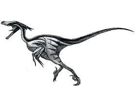 Saurornitholestes / © Øyvind M. Padron. Verwendet mit freundlicher Genehmigung des Autors.
