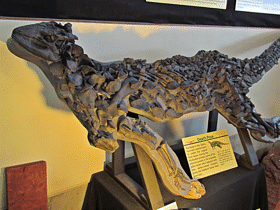 Fossil des Scelidosaurus / 5of7. Creative Commons ShareAlike 2.0 Generic (CC BY-SA 2.0)