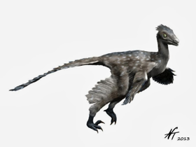 Stenonychosaurus (Troodon) / © N. Tamura. Verwendet mit freundlicher Genehmigung des Autors