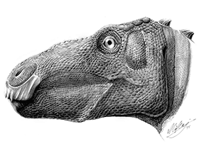 Telmatosaurus / Mihai D. Dumbravă. Creative Commons 4.0 International (CC BY 4.0)