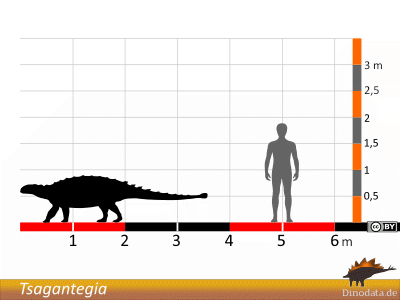 Größenvergleich / © Dinodata.de
