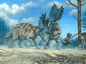 Utahceratops / © Tuomas Koivurinne. Verwendet mit freundlicher Genehmigung des Autors.