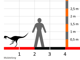 Grössenvergleich / Dinodata.de. Creative Commons 4.0 International (CC BY 4.0)