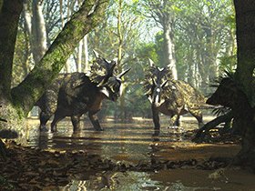 Xenoceratops
© James Kuether. Verwendet mit freundlicher Genehmigung des Autors
