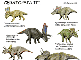 Ceratopsia III / © N. Tamura. Verwendet mit freundlicher Genehmigung des Autors.