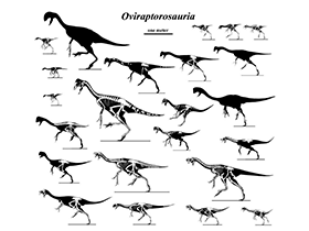 Palette mit Oviraptoren / Jaime Headden (deviantart.com). Creative Commons 3.0 Unported (CC BY-NC-SA 3.0)