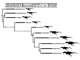 Phylogramm und Vergleich der Körpergröße der Allosaurier / Eddy & Clarke, bearbeitet durch Dinodata.de. Creative Commons 4.0 International (CC BY 4.0)