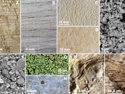 Sedimente aus Solnhofen © Gerschermann et al. Creative Commons 4.0 International (CC BY 4.0)