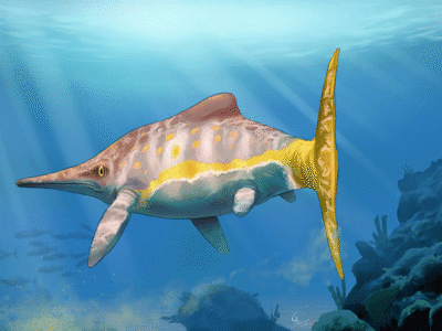 Parrassaurus / © CamusAltamirano
