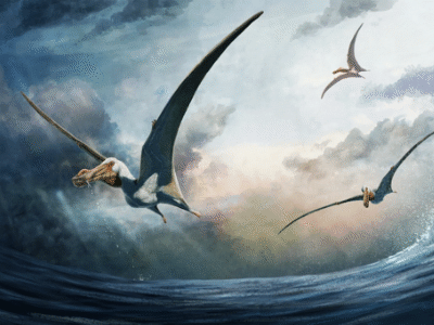 Haliskia / © Gabriel N. Ugueto