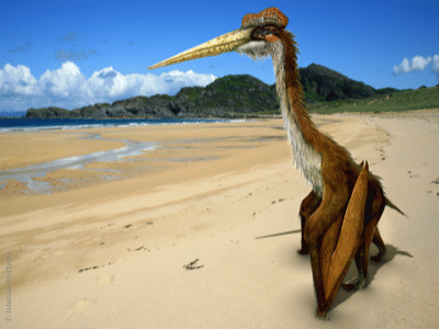 Quetzalcoatlus / © Johnson-Mortimer