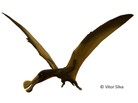 Tropeognathus (Ornithocheirus) / © Vitor Silva. Verwendet mit freundlicher Genehmigung des Autors