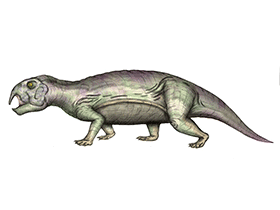 Der Rynchosaurier Hyperodapedon / © Ezequiel Vera. Verwendet mit freundlicher Genehmigung des Autors